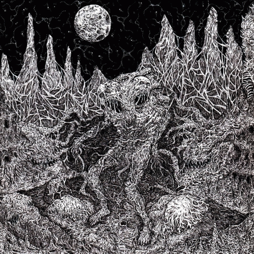 Cryptum : Vile Emergence